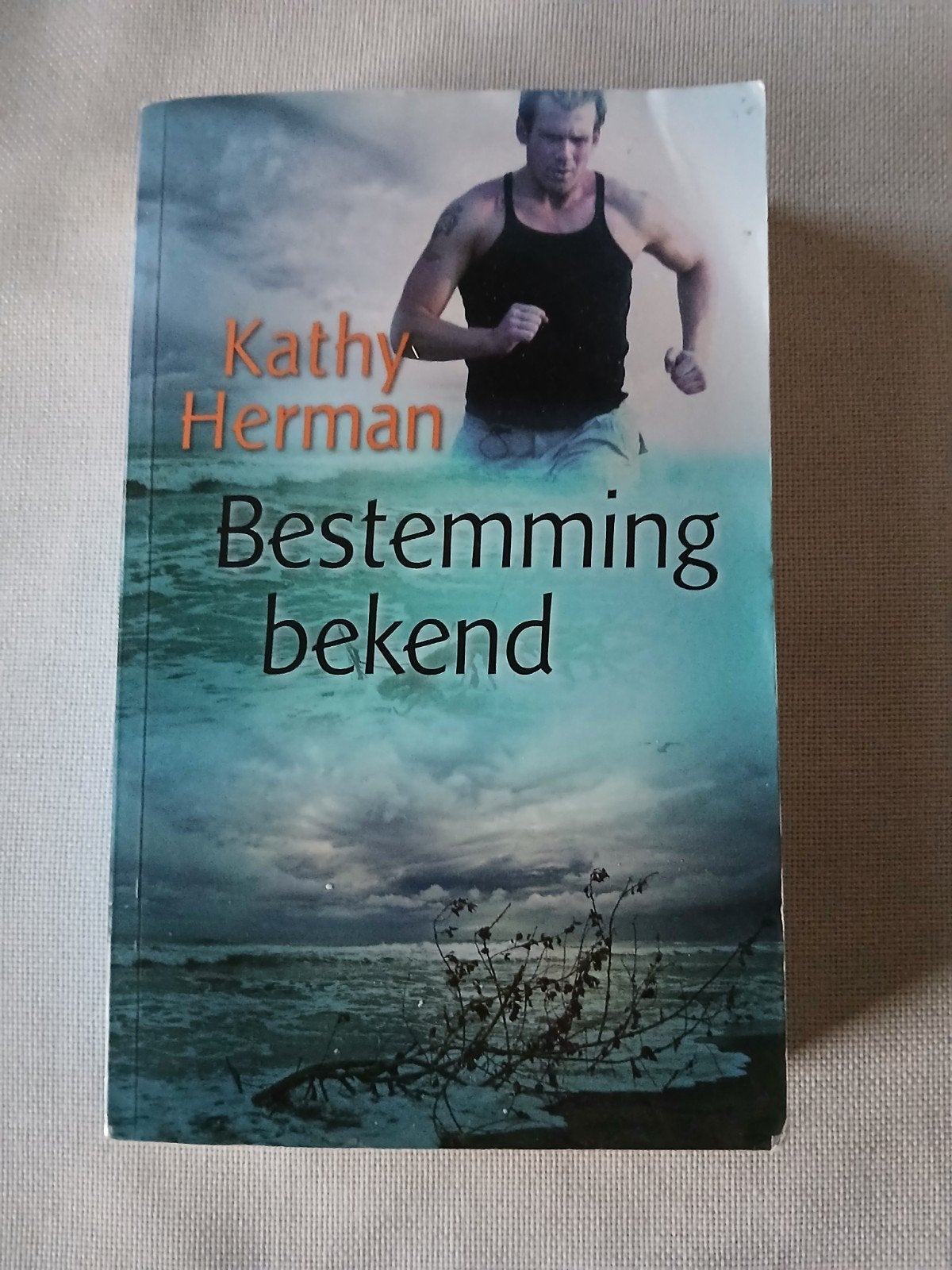 K. Herman - Bestemming bekend, Boeken, Romans, Ophalen