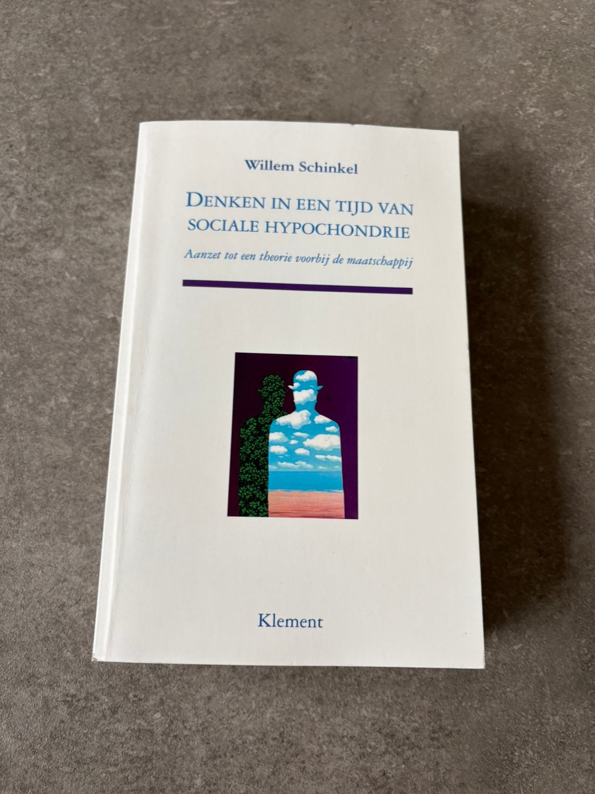 W. Schinkel - Denken in een tijd van sociale hypochondrie, Boeken, Ophalen of Verzenden, Zo goed als nieuw