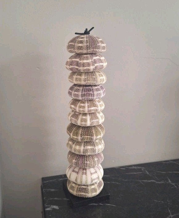 Prachtig veelkleurige zeeegels ornament op houten voet, Huis en Inrichting, Nieuw, Ophalen of Verzenden, X, X