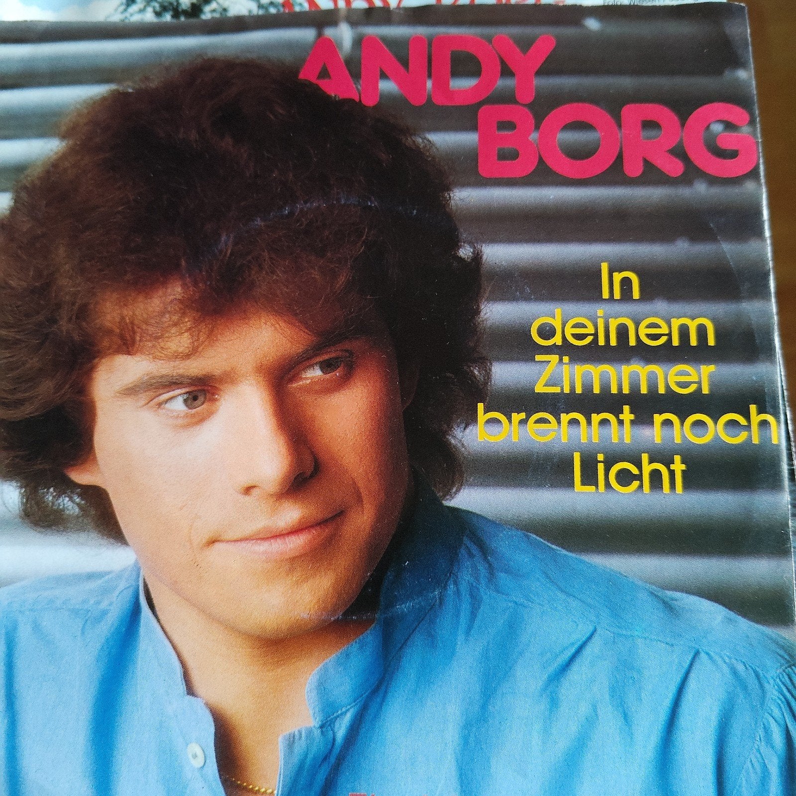 Andy Borg - In deinem Zimmer brennt noch Licht (Single), Ophalen of Verzenden, Gebruikt, 7 inch