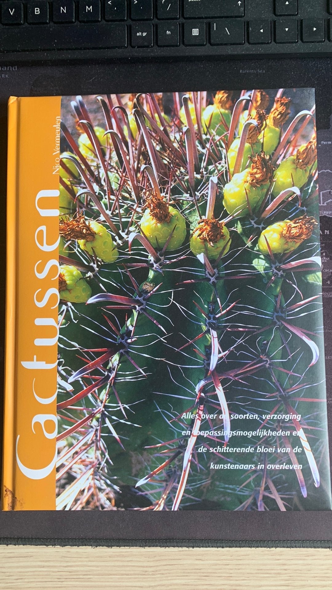 N. Vermeulen - Cactussen, Boeken, Ophalen of Verzenden, Zo goed als nieuw, N. Vermeulen, Bloemen, Planten en Bomen