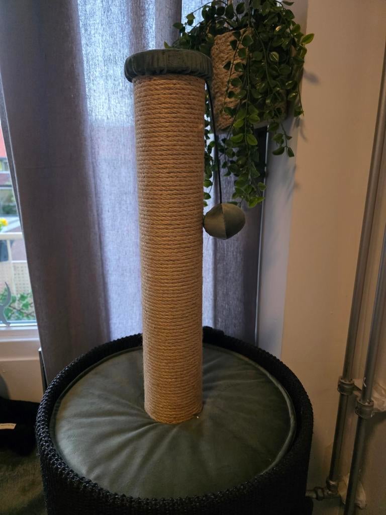 Krabpaal Designed bij Lotte, Ophalen of Verzenden, Nieuw, Krabpaal