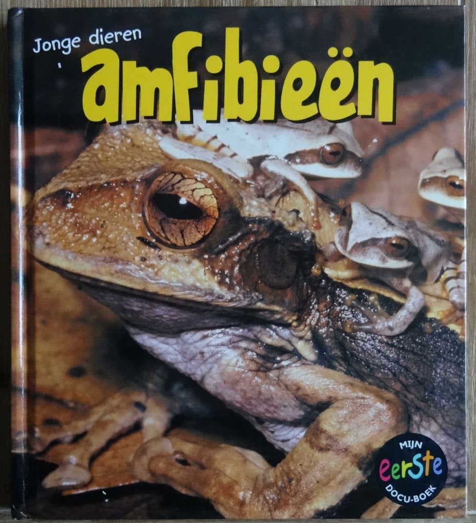 Jonge dieren - Amfibieen - Mijn eerste docuboek, Fictie algemeen, Jongen of Meisje, Ophalen of Verzenden, Zo goed als nieuw