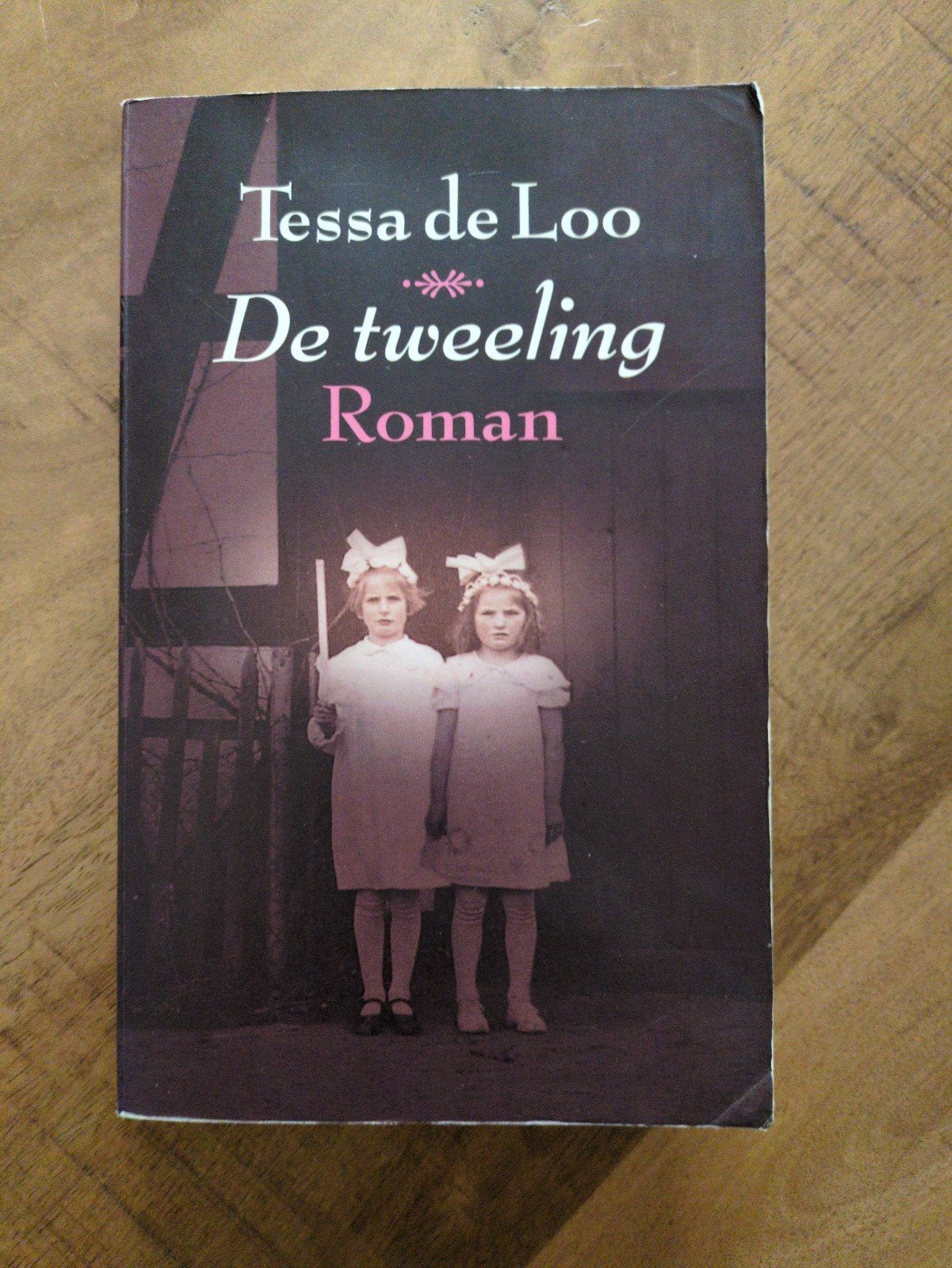 De Tweeling - Tessa de Loo (Roman), Ophalen of Verzenden, Gelezen, Tessa de Loo, Nederland