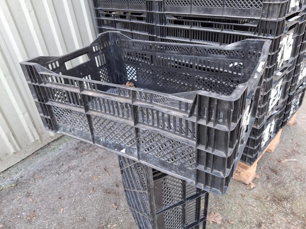 Stevige Kunststof / Veiling Kratten Bakken AGF ZO.  Vanaf:, Ophalen, Gebruikt, 40 tot 60 cm, 50 tot 75 cm