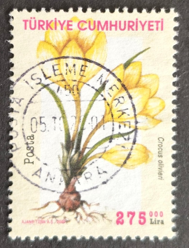 TURKIJE - krokus 2000, Verzenden, Overige landen, Gestempeld