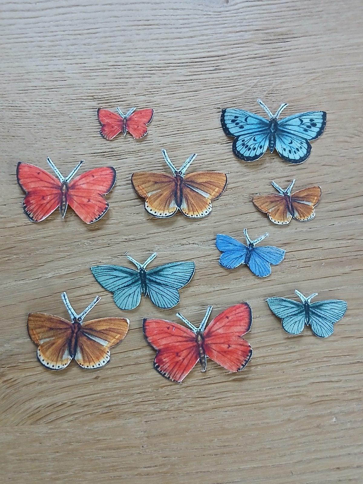 Set vlinders C, Hobby en Vrije tijd, Ophalen of Verzenden, Nieuw, Overige thema's