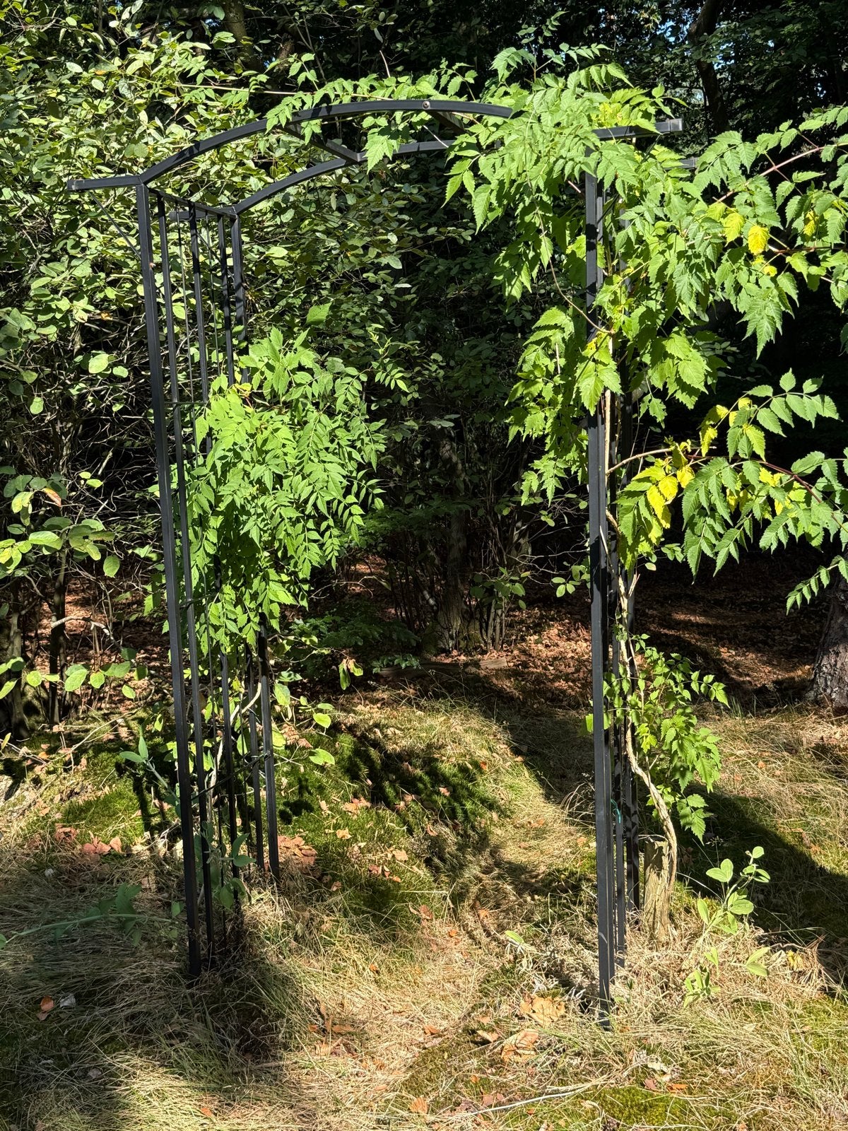 Metalen Tuinboog / Rozenboog - Zwart, Ophalen, Gebruikt
