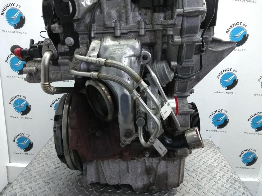 FORD FIESTA ACTIVE TURBO 2020, Ophalen of Verzenden, Gebruikt, Stiba lid