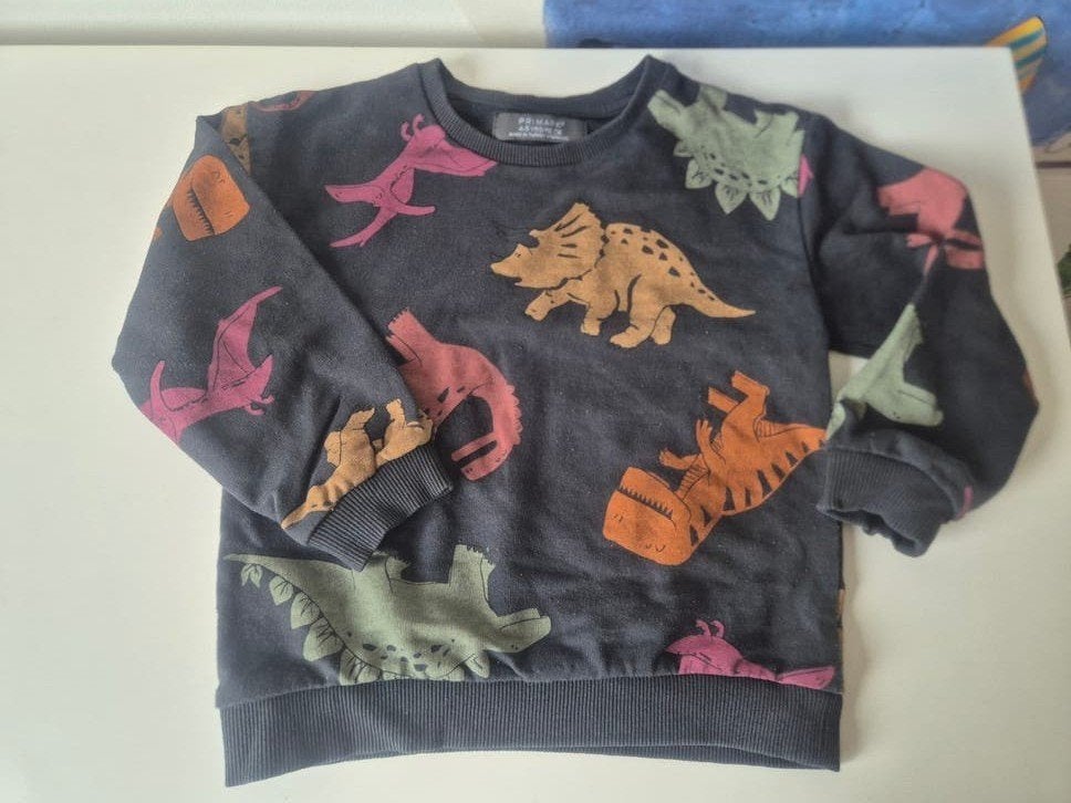 Trui dino's maat 110-116, Kinderen en Baby's, Ophalen of Verzenden, Zo goed als nieuw, Jongen, Trui of Vest