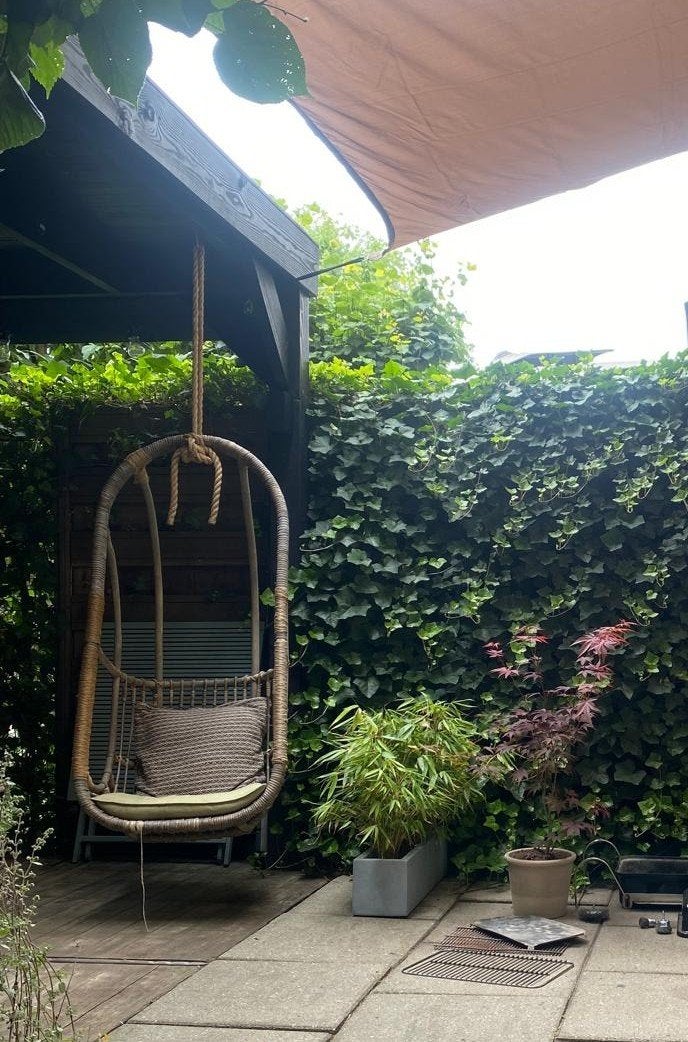 bamboo hangstoel, Ophalen, Gebruikt, Hout, Minder dan 250 cm