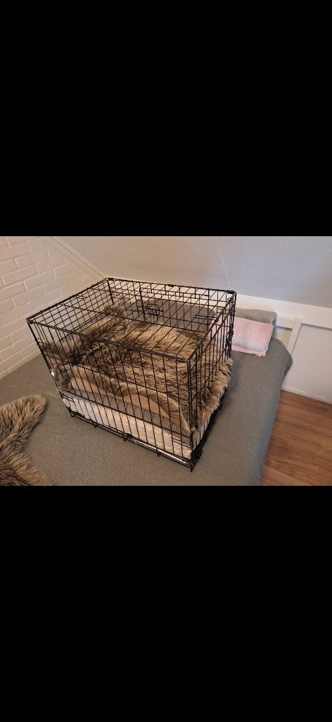 Benche, Dieren en Toebehoren, Ophalen, Gebruikt