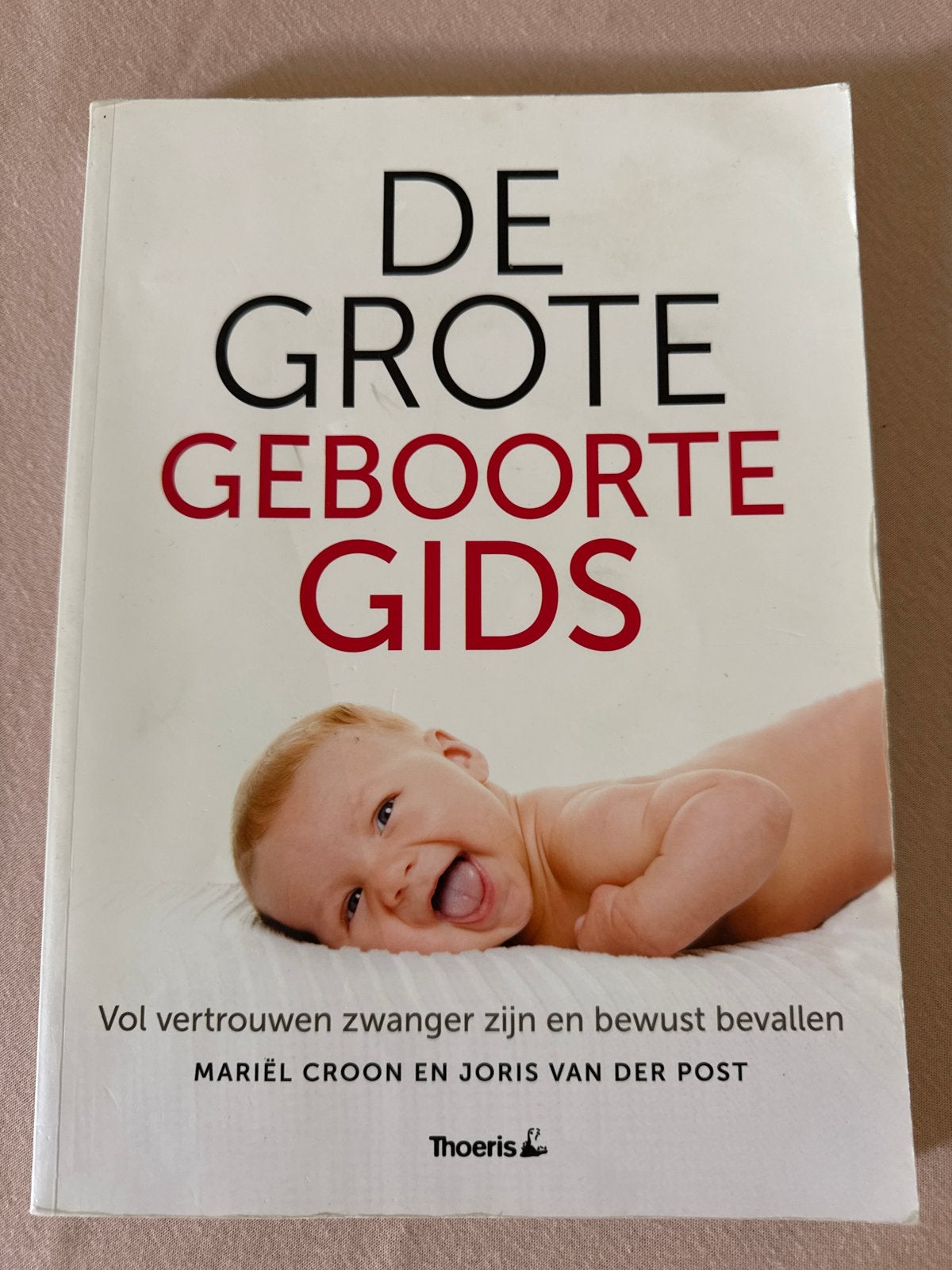 De Grote Geboorte Gids - Mariël Croon & Joris van der Post, Ophalen of Verzenden, Zo goed als nieuw, Zwangerschap en Bevalling