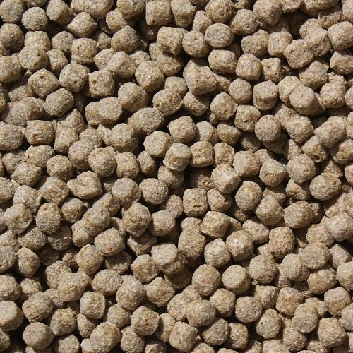 Koi Wheat Germ 15kg 6mm, Karper of Koi