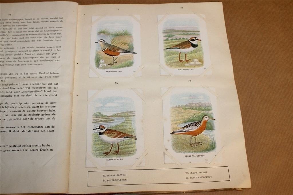 Vogelalbum Deel II — Plaatjesalbum Compleet Antiek 1926, Ophalen of Verzenden, Gelezen