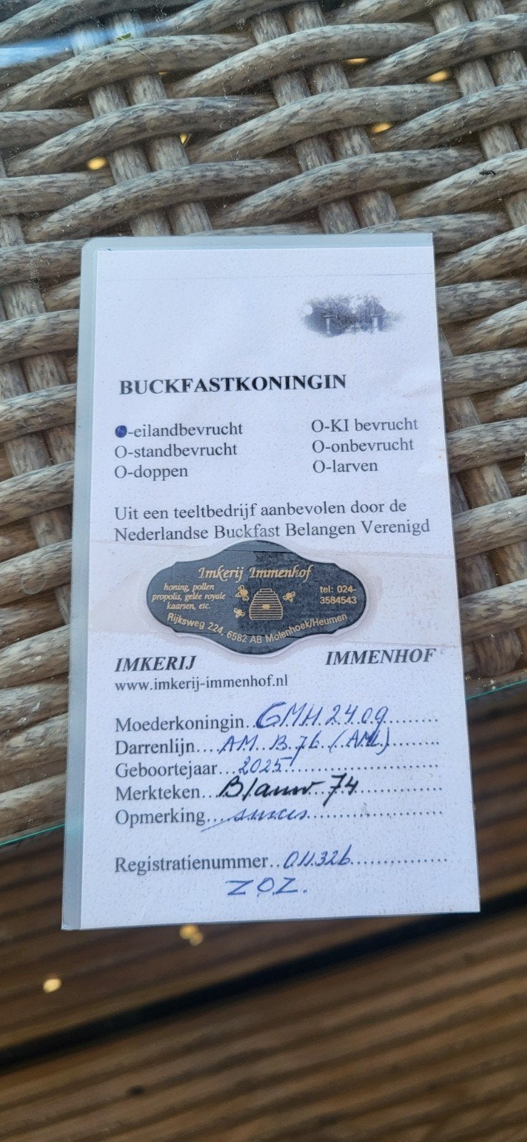 F1 buckfast 2026, Dieren en Toebehoren, Bijen