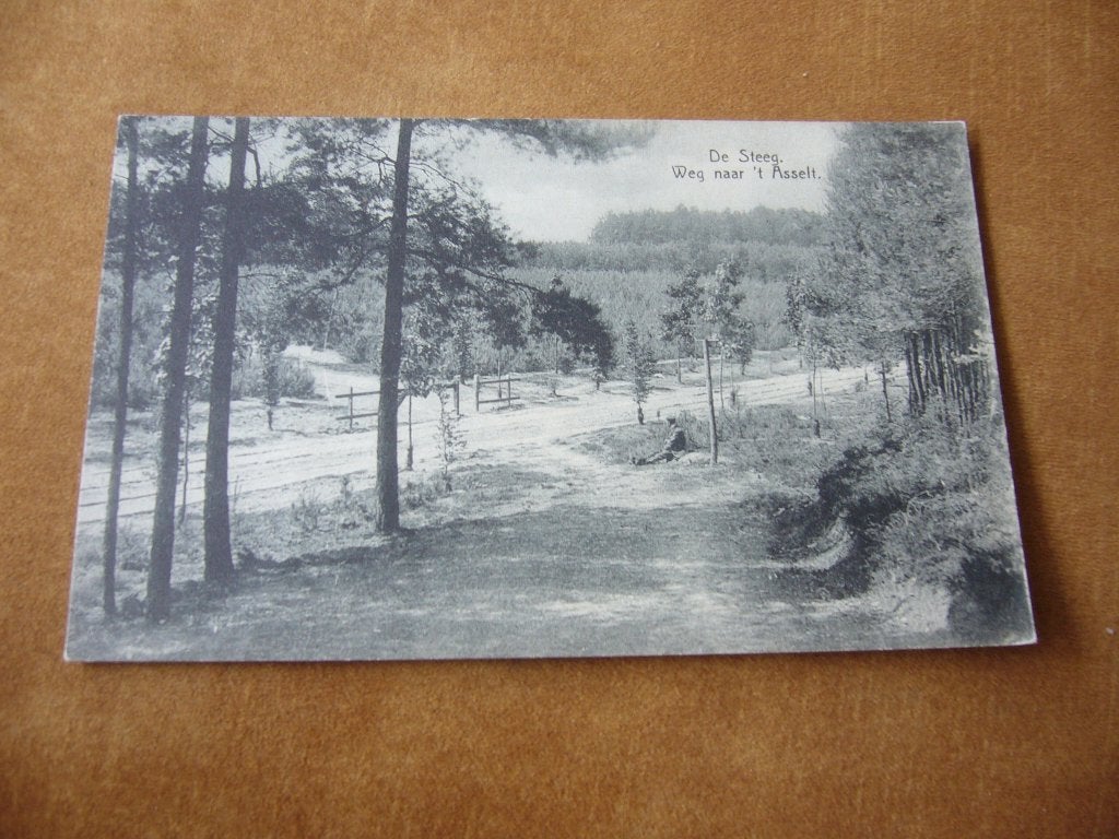 DE STEEG  =  WEG NAAR T, ASSELT, Verzamelen, Ansichtkaarten | Nederland, Ophalen of Verzenden, Voor 1920, Ongelopen, Gelderland
