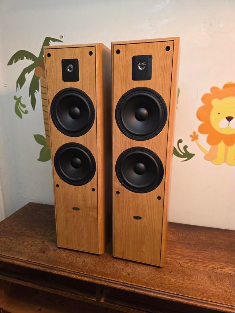 Eltax Titanium Front vloerstaande speakers, Ophalen of Verzenden, 120 watt of meer, Front, Rear of Stereo speakers, Overige merken