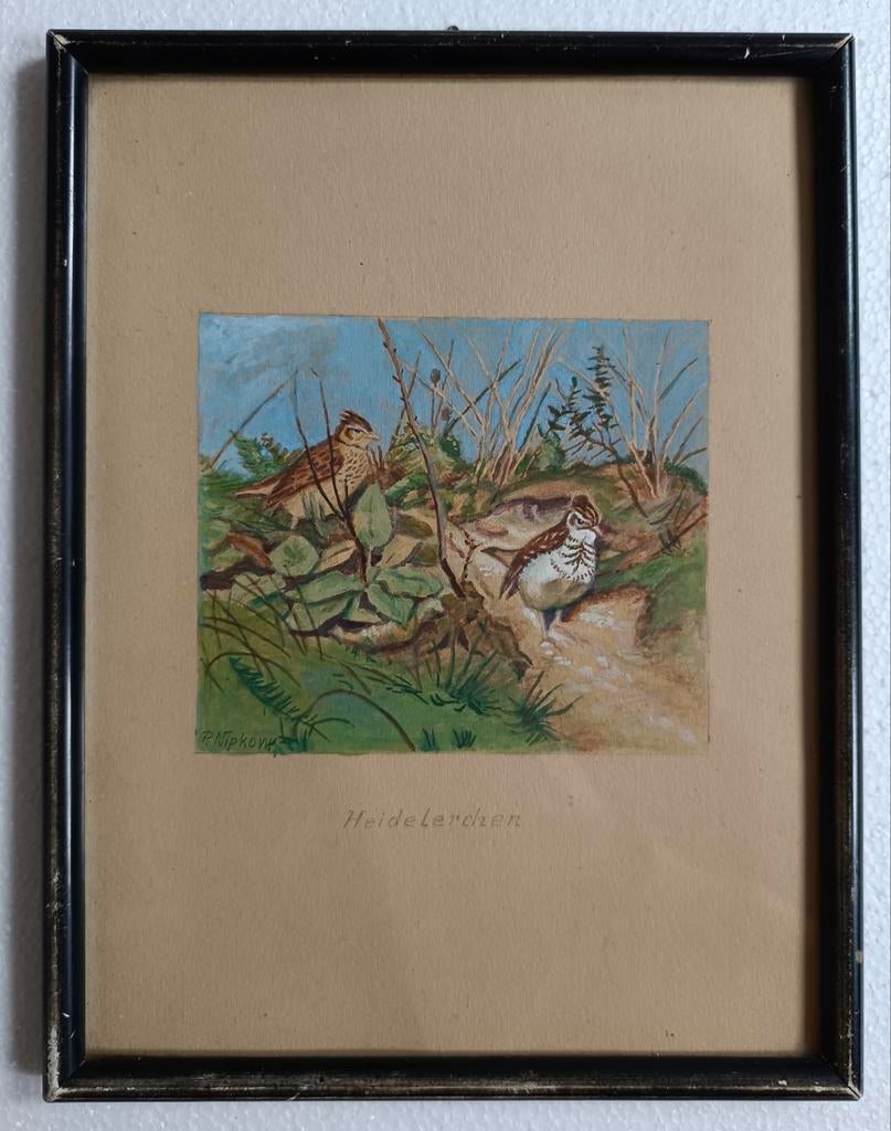 Paul Nipkow aquarel 4de van 4 achter glas.Gesigneerd., Antiek en Kunst, Kunst | Schilderijen | Klassiek, Ophalen of Verzenden