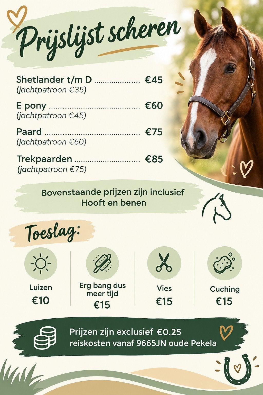 scheer service paard/pony