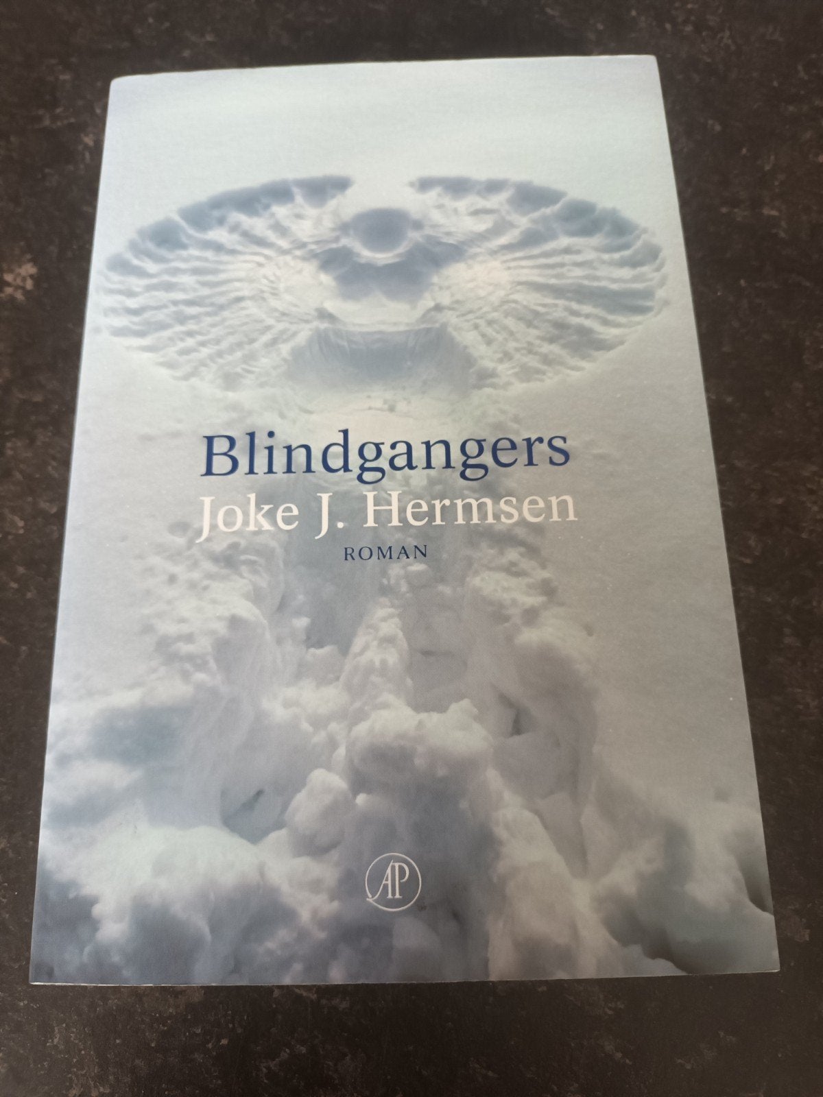 Joke J. Hermsen - Blindgangers, Boeken, Ophalen of Verzenden, Zo goed als nieuw, Joke J. Hermsen