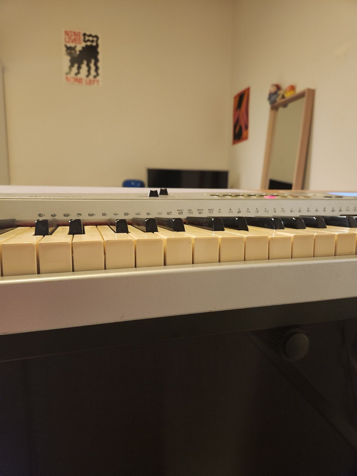 Foto 8 van Thomann SP-5500 Digitale Piano - Gebruikt