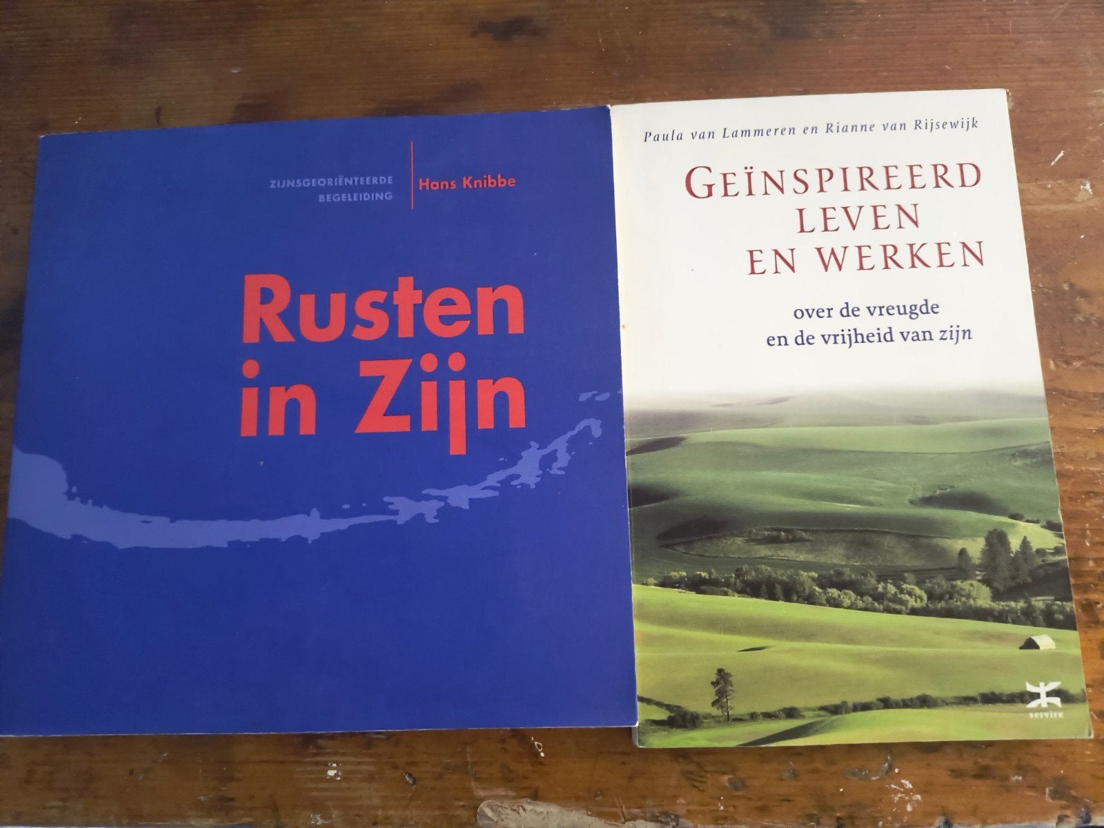Zijnsoriëntatie Rusten in Zijn Geïnspireerd Leven en Werken, Gelezen, Hans Knibbe, Paula van Lammeren, Rianne van Rijsewijk, Achtergrond en Informatie