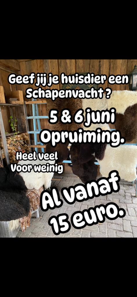 Schapenvacht voor je hond of kat., Dieren en Toebehoren, Ophalen, Nieuw