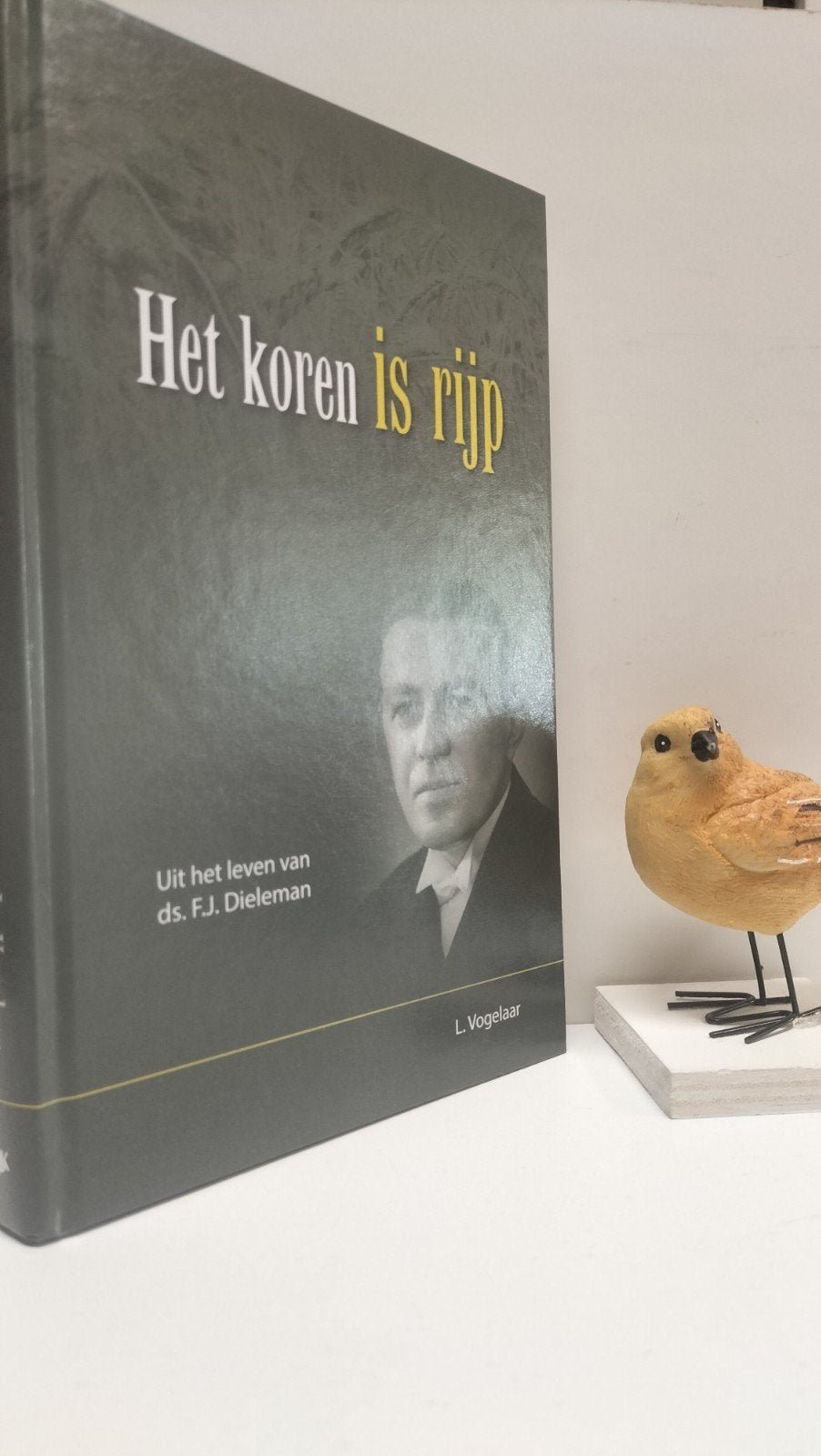 Vogelaar, L.; Het koren is rijp (Ds. F.J. Dieleman, Ophalen of Verzenden, Gelezen, Christendom | Protestants