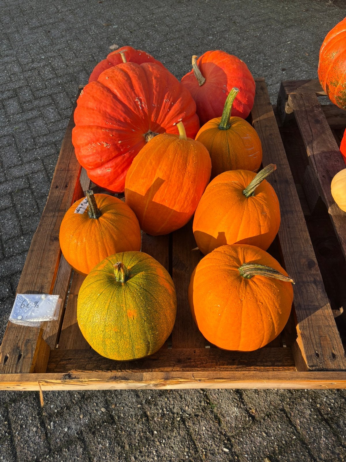 Pompoenen en andere groenten, Ophalen, Nieuw