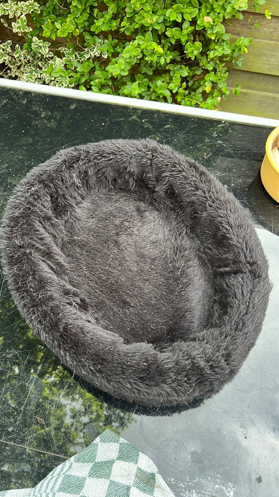 Kattenmand, gebruikt maar netjes en wasbaar, Ophalen of Verzenden, Zo goed als nieuw