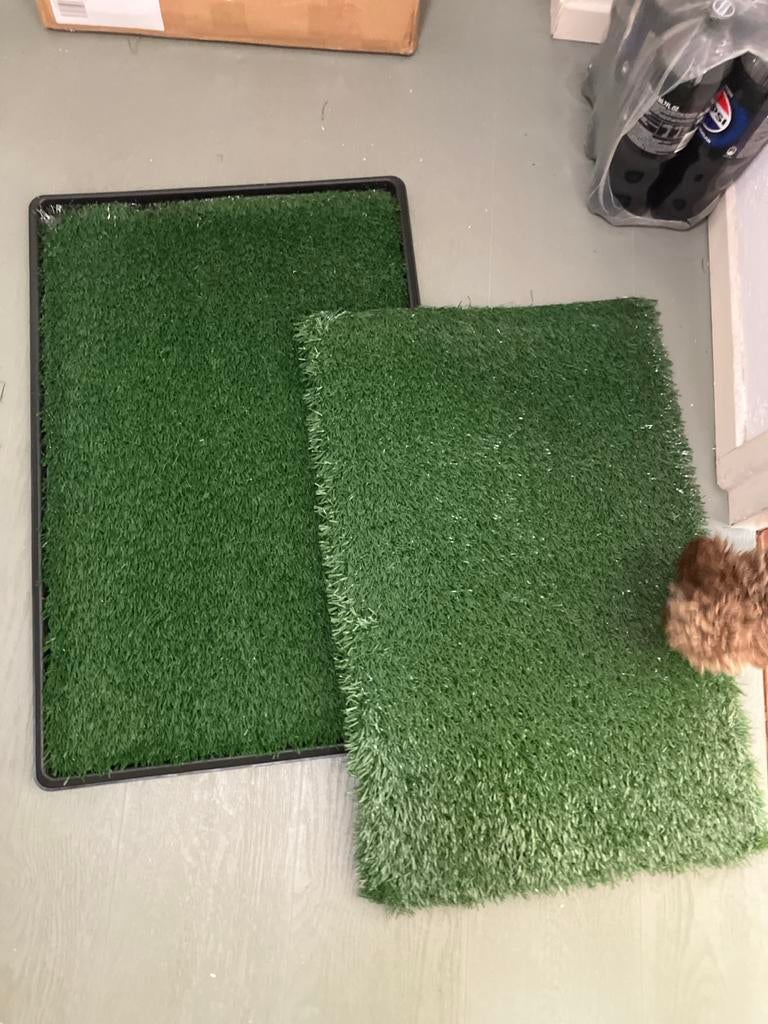 Puppy zindelijkheidstrainingsmat., Ophalen of Verzenden, Zo goed als nieuw