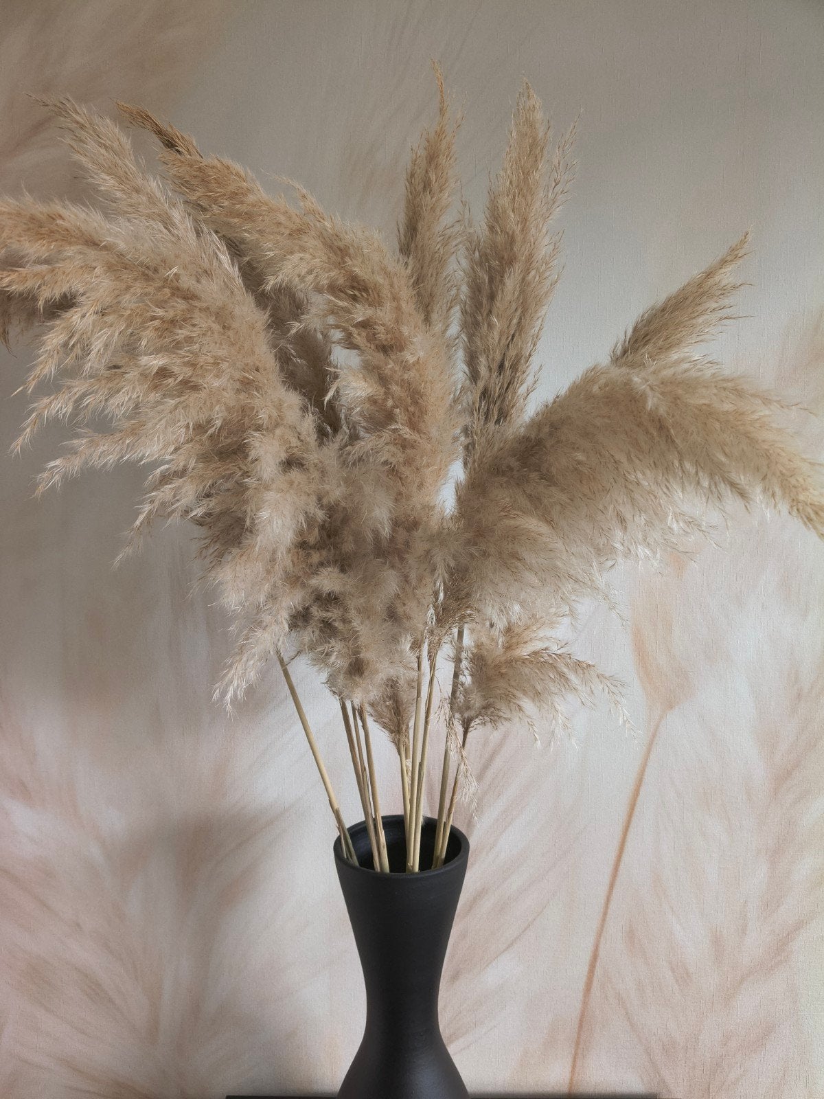 Droogbloemen pampas pluimen halmen, Ophalen, Zo goed als nieuw