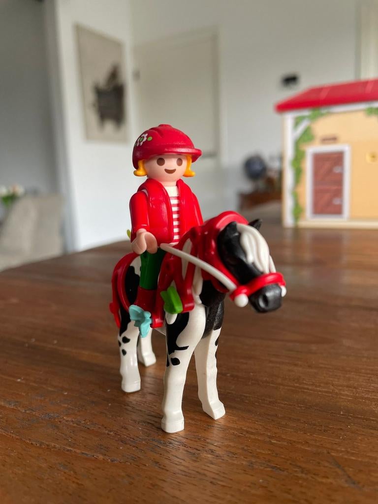 Playmobil paarden meisje inclusief accessoires, Ophalen of Verzenden