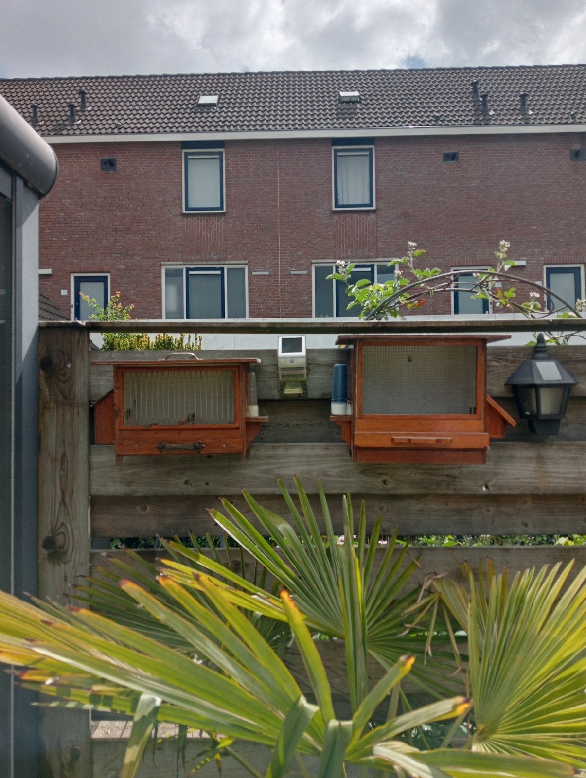 Zang kooitjes, Ophalen, Vogelkooi