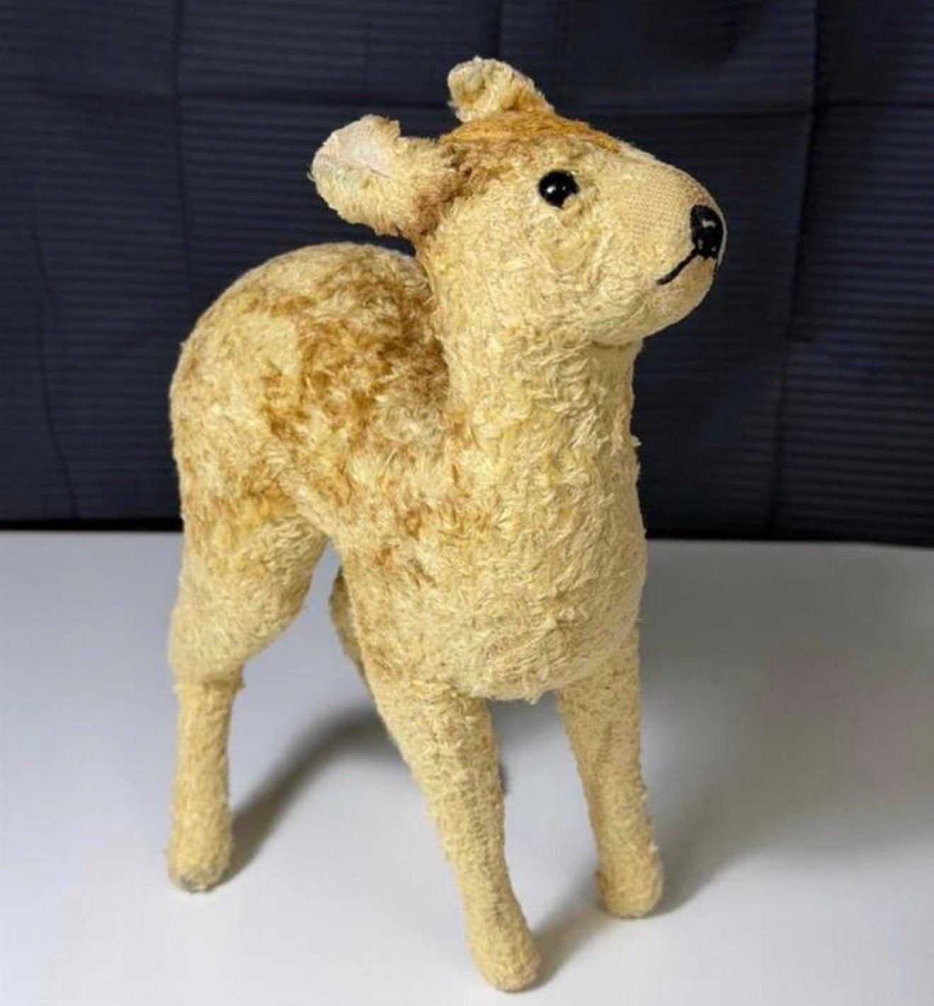 Hele oude Steiff ree met knopf im ohr 1930 zeer mooi, Ophalen of Verzenden