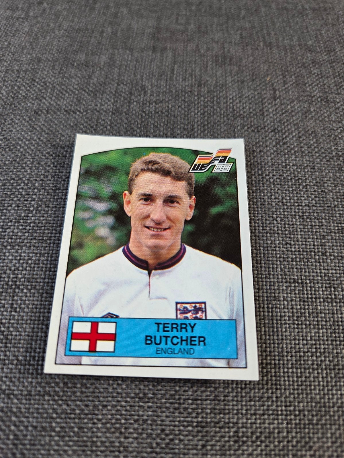 Panini EK 88, Ophalen of Verzenden, Zo goed als nieuw, Sticker