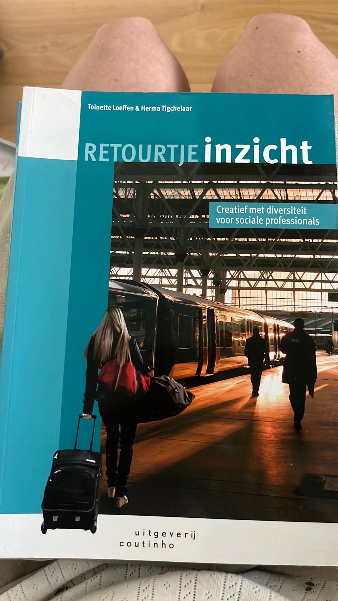 Toinette Loeffen - Retourtje inzicht, Sociale wetenschap, Toinette Loeffen; Herma Tigchelaar, Ophalen of Verzenden, Zo goed als nieuw