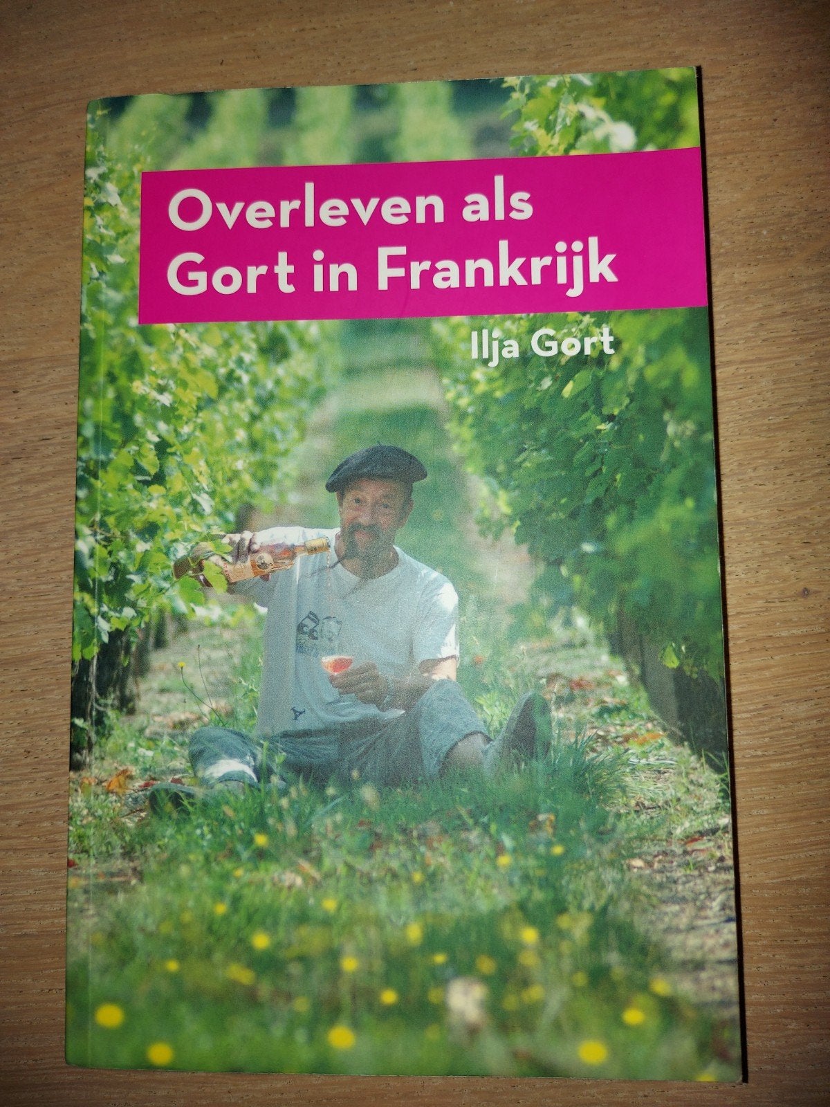 Ilja Gort - Leven als Gort in Frankrijk, Ophalen of Verzenden, Zo goed als nieuw, Ilja Gort, Frankrijk