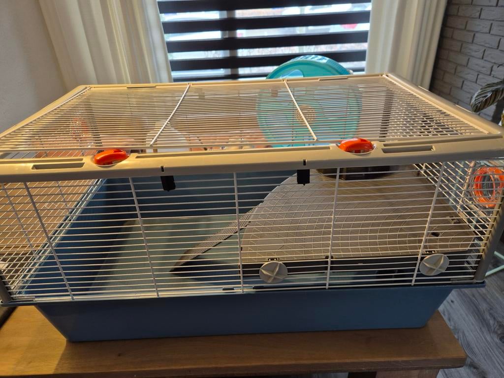 De knaaqdierenkooi Criceti 15 van Ferplast, Dieren en Toebehoren, Knaagdieren en Konijnen | Hokken en Kooien, Ophalen, Kooi, Minder dan 60 cm