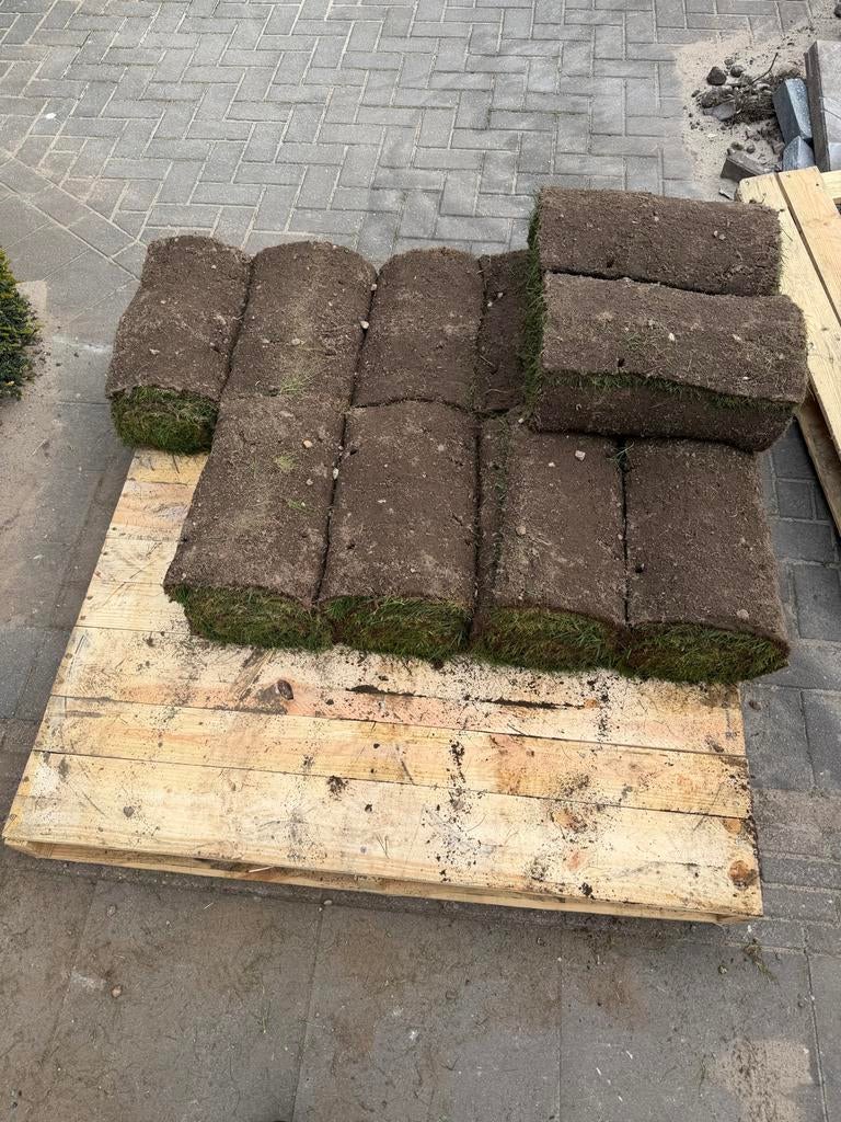 Verse rollen gras, 11 rollen, Ophalen of Verzenden, Nieuw, 10 tot 20 m², Gras