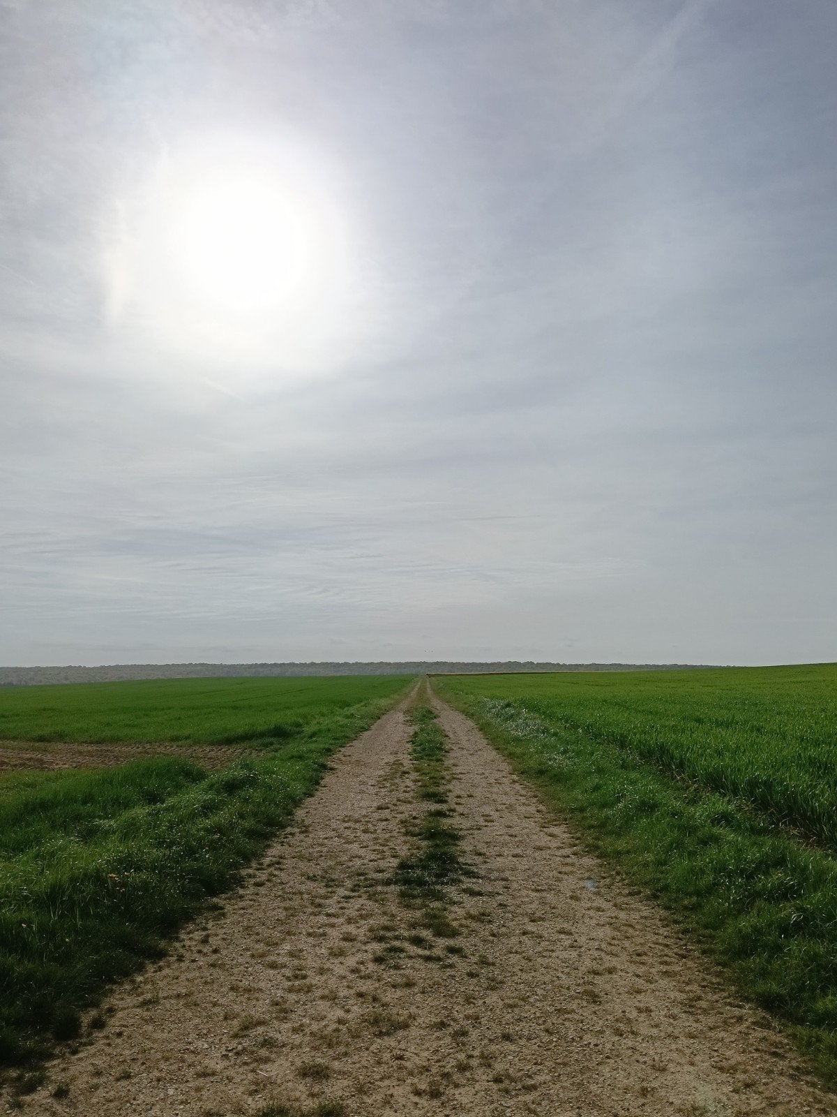 het is zondagmorgen en je staart door het raam...., Contacten en Berichten, Reisgenoten en Carpoolers