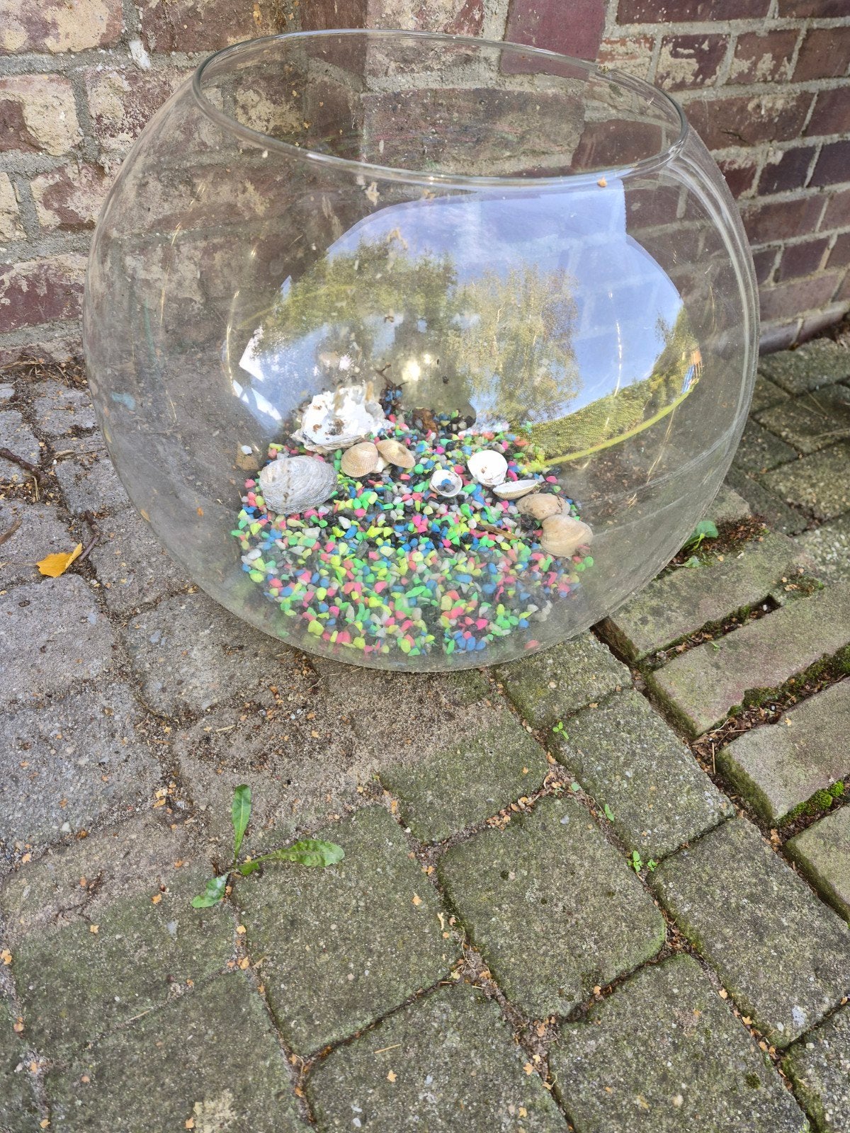 grote vissenkom, Ophalen