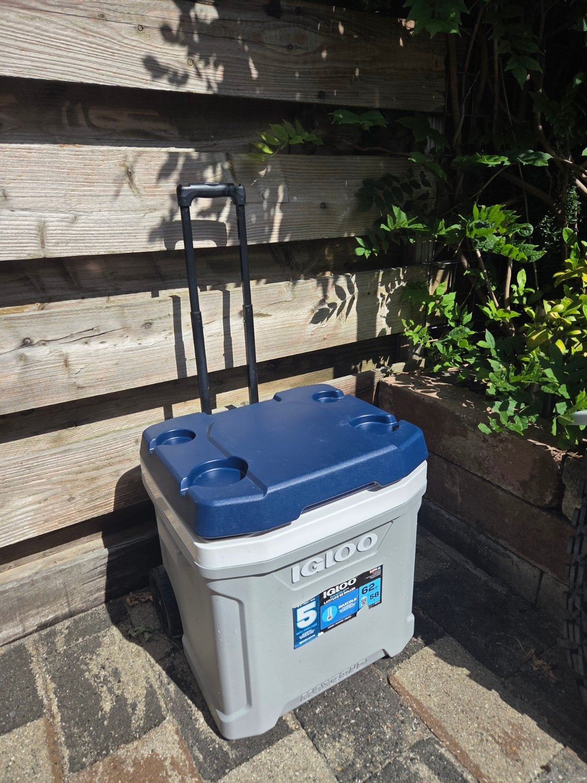 Igloo Maxcold Latitude 62 Roller Koelbox op wielen 56L, Ophalen, Zo goed als nieuw, Koelbox, Koelelement
