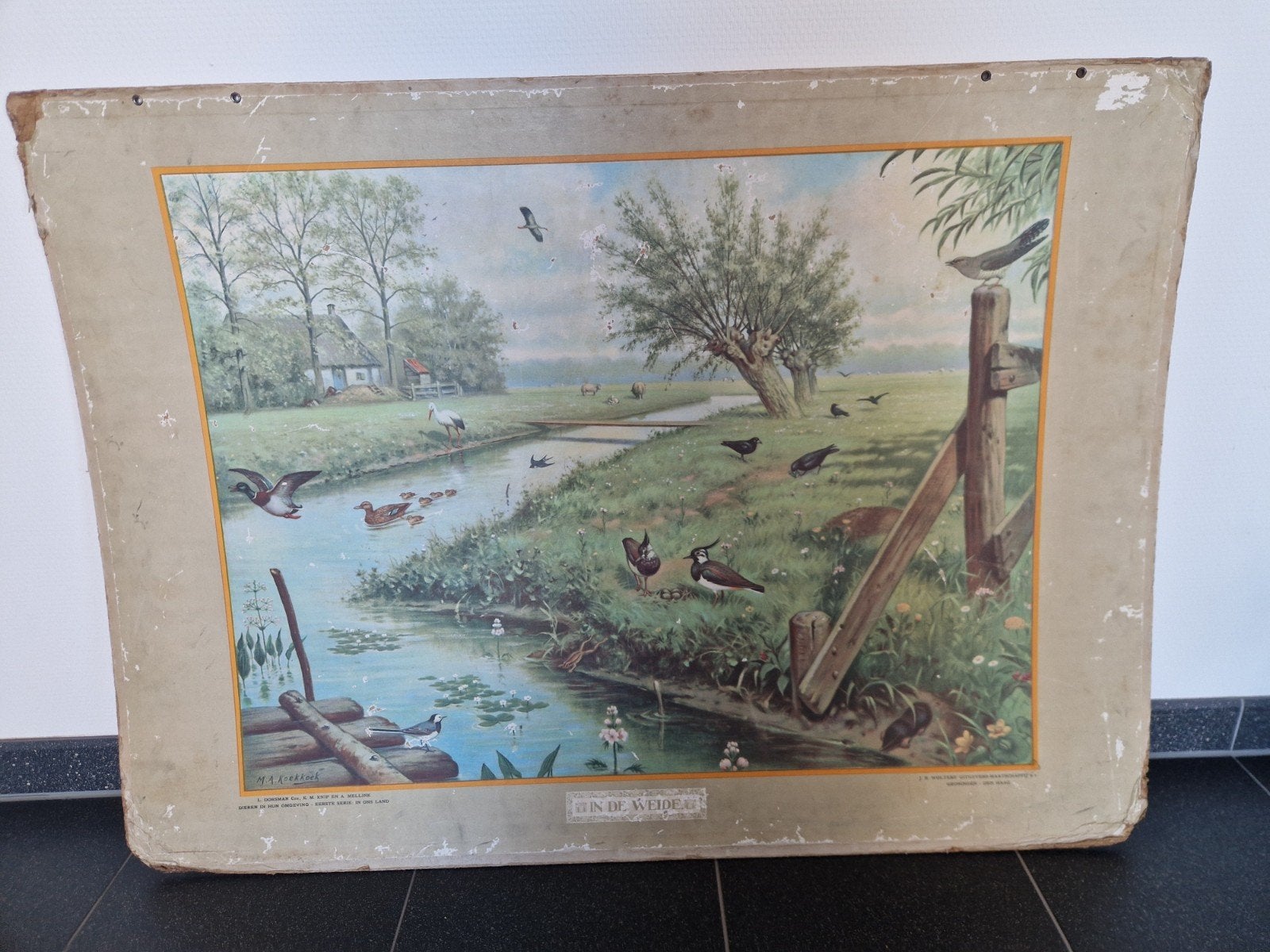 Schoolplaat J.B. Wolters Groningen - In de Weide, Antiek en Kunst, Antiek | Schoolplaten, Ophalen