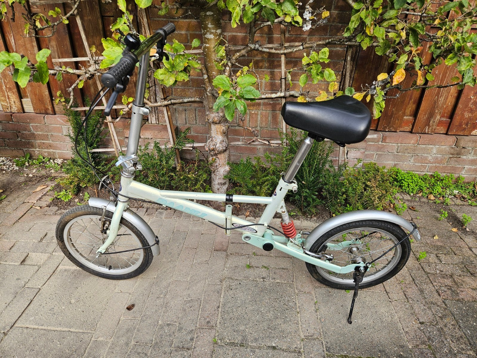 opklapbare loopfiets Daanli volwasenen mindervalide, Gebruikt, Velgrem, 14 tot 16 inch, Totaal opvouwbaar