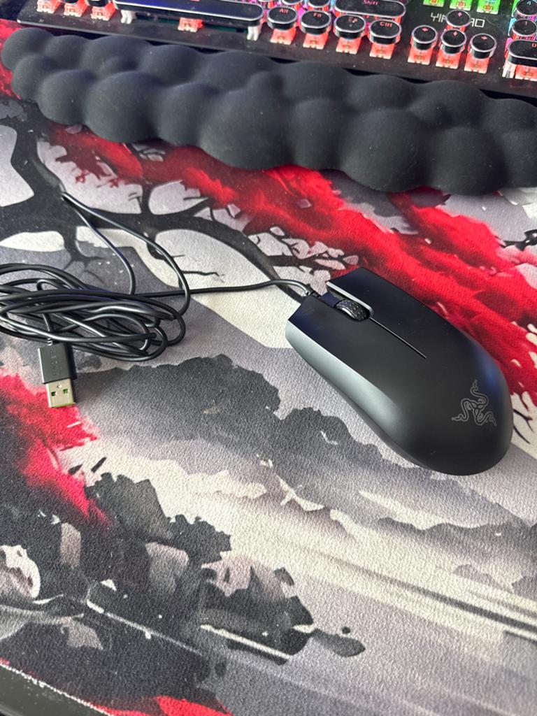 Razer DeathAdder Essential Gaming Muis - Bedraad, Computers en Software, Muizen, Gebruikt, Muis, Rechtshandig, Bedraad, Ergonomisch