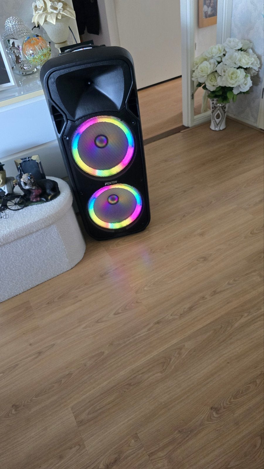 Fenton Party Speaker met Afstandsbediening en Lichteffecten, Audio, Tv en Foto, Party speaker, Zo goed als nieuw, 60 tot 120 watt