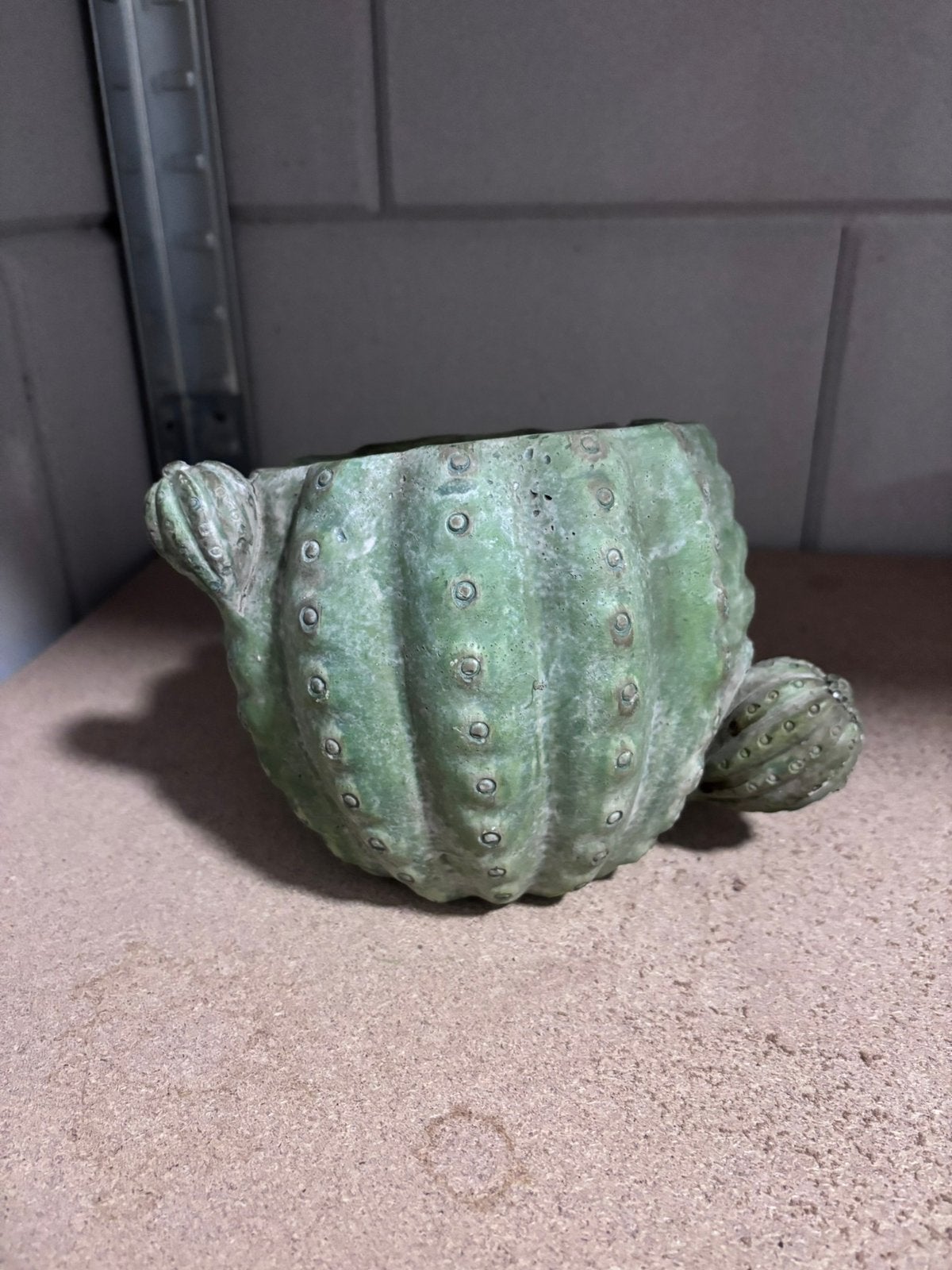 Bloempot cactus, Gebruikt, Rond, Ophalen of Verzenden, Aardewerk
