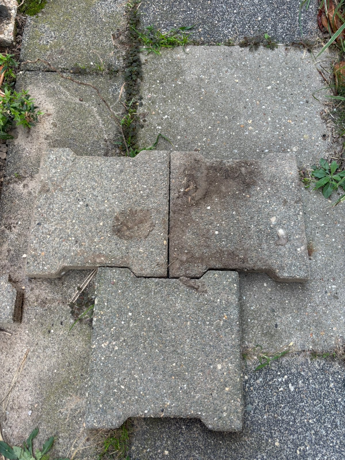 Gratis tuin tegels stuk of 100, Ophalen, Gebruikt, Beton, Terrastegels